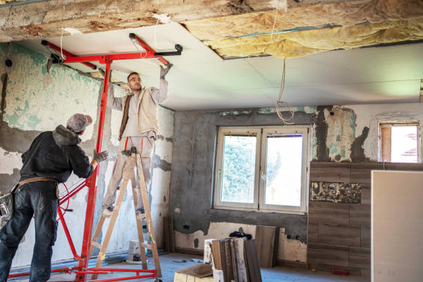 Best Insulation Maintenance and Repair in Steele, AL